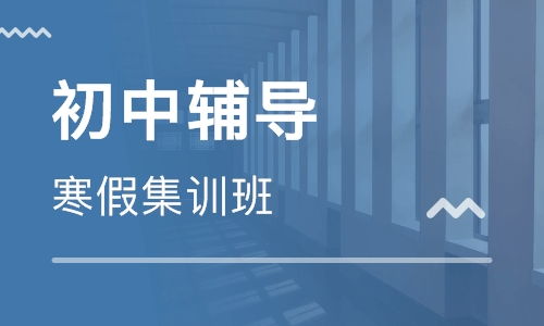 山東世閱偉讀教育咨詢有限公司及淘學培訓服務評價與解析